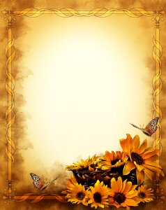 Summer flower floral