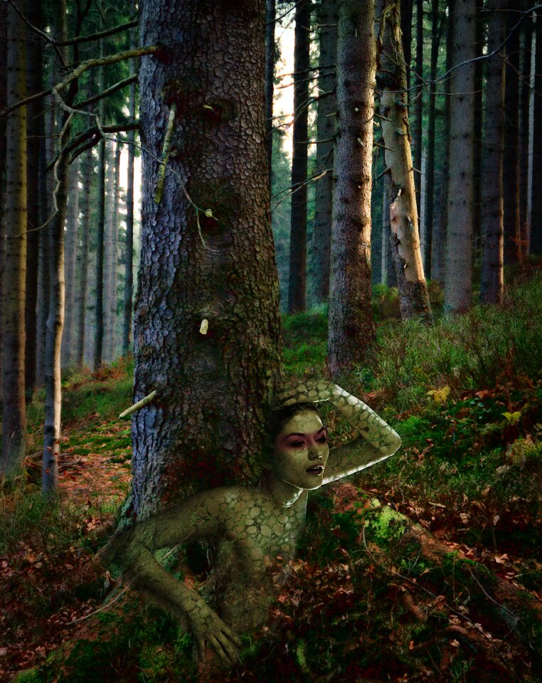 Goddess forest ghosts