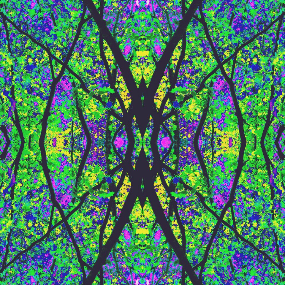 Tree colors Free illustrations