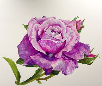 Watercolor elegant leaves