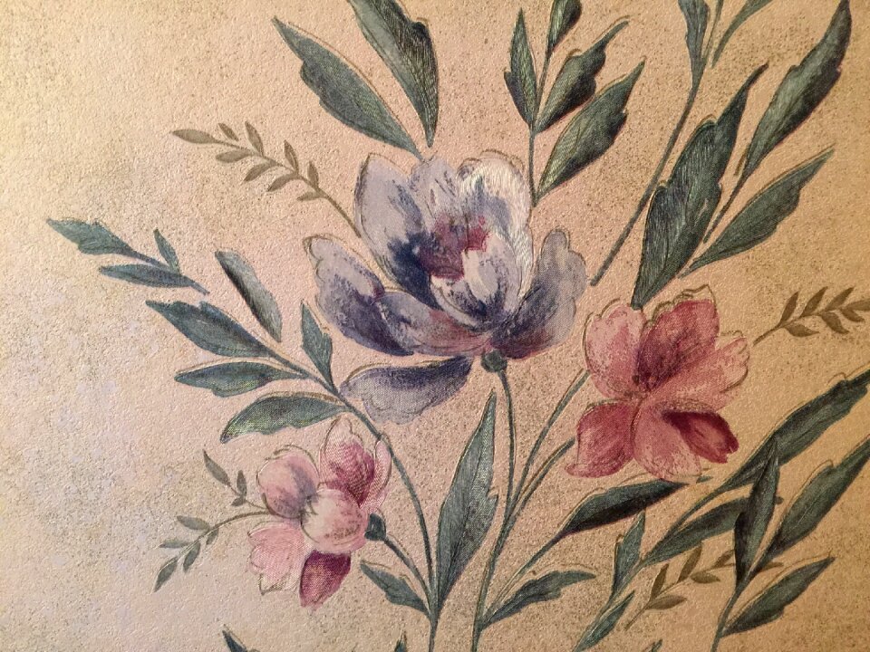 Flowers wall Free illustrations