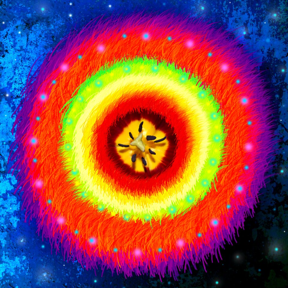 Flower healing Free illustrations