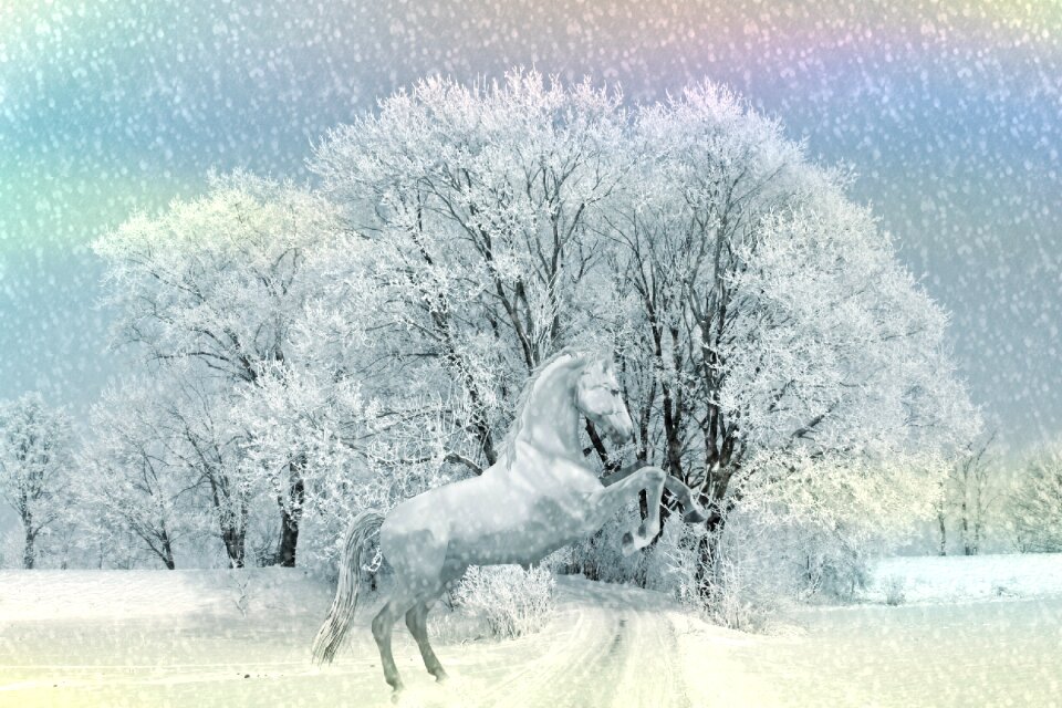 Nature ride snow