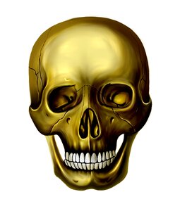 Skull dissection Free illustrations