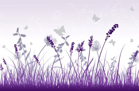 Background nosegay flower