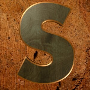 Wooden alphabet alphabet letters
