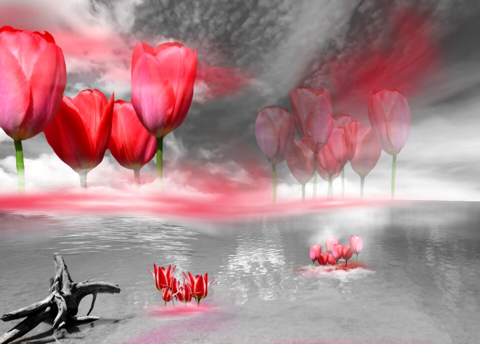Fantasy nature flowers