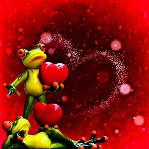 Kiss lovers harmony