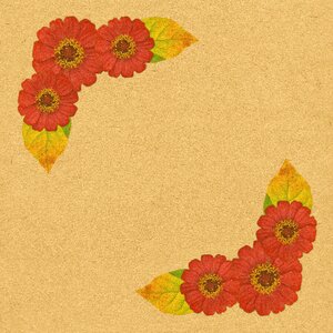 Nature wallpaper flower