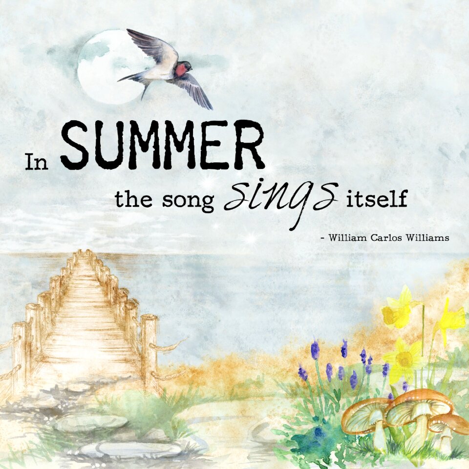 Summer bird motivational