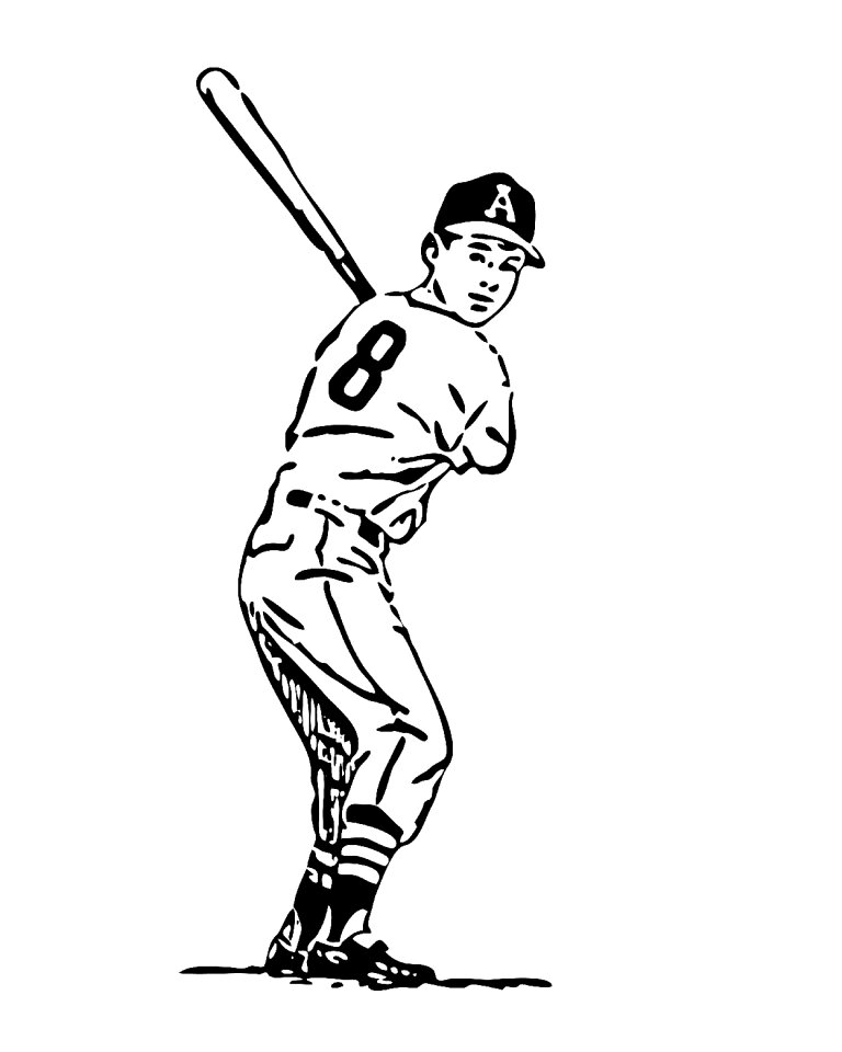 Sport bat american