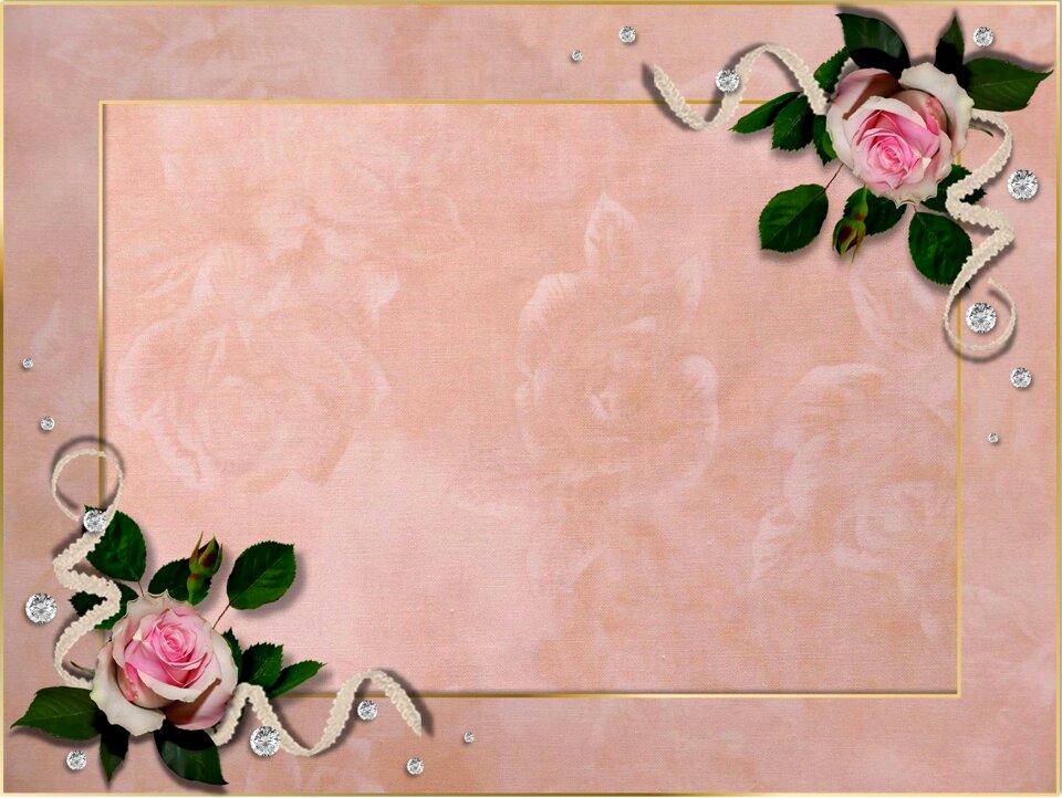 Roses pink framed