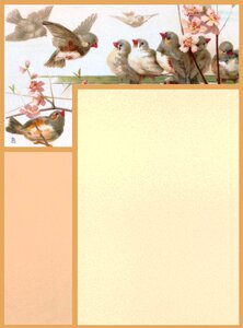 Frame stationary bird