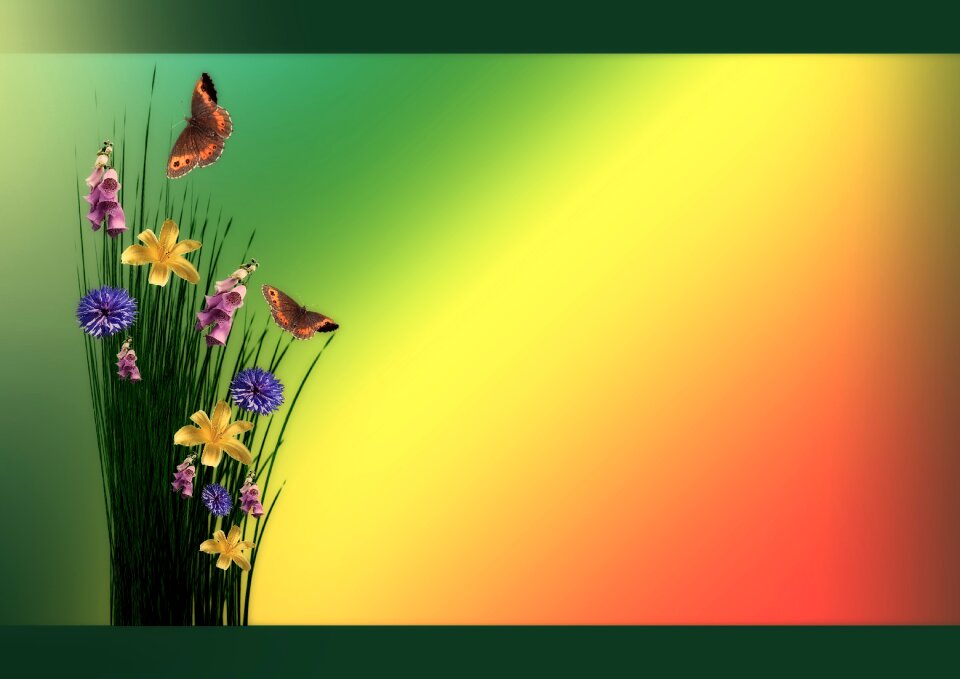 Flowers bouquet colorful