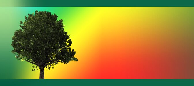 Wallpaper colorful course