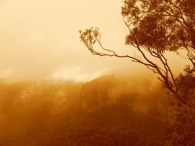 Nature landscape light