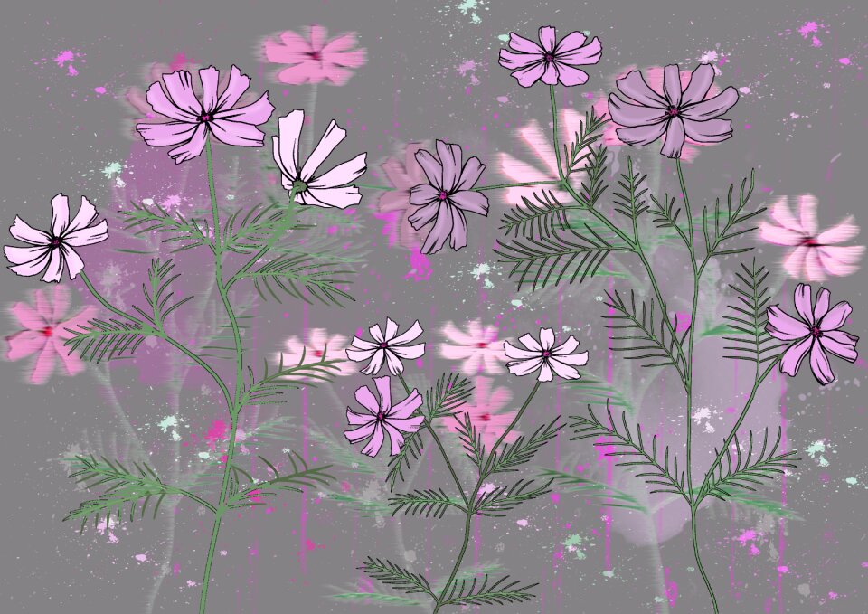 Series colored meadow