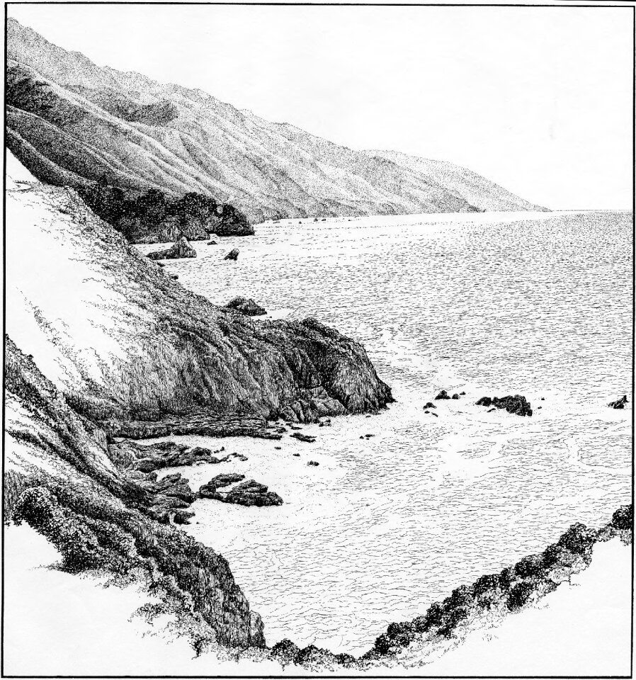 Black and white drawing Free illustrations