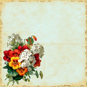 Background red pink