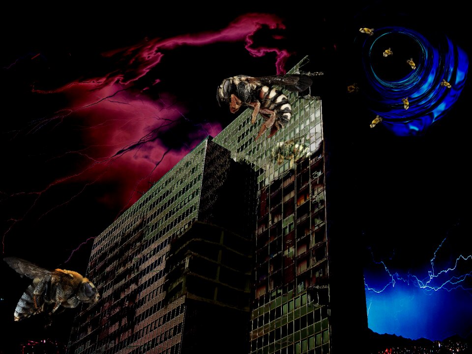 Huge bees insects apocalypse