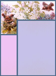 Frame stationary bird