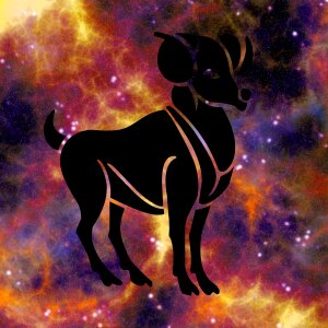 Astrological zodiacal fortune