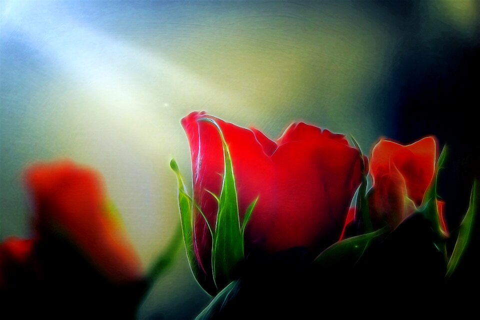 Fantasy red dreamy