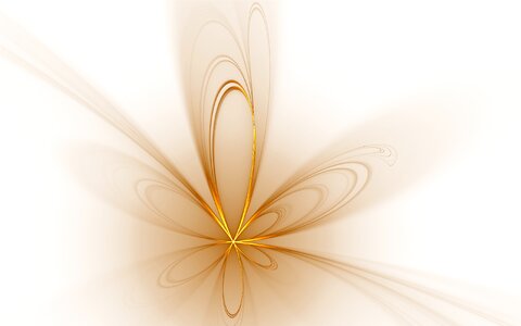 Flower fractal abstract