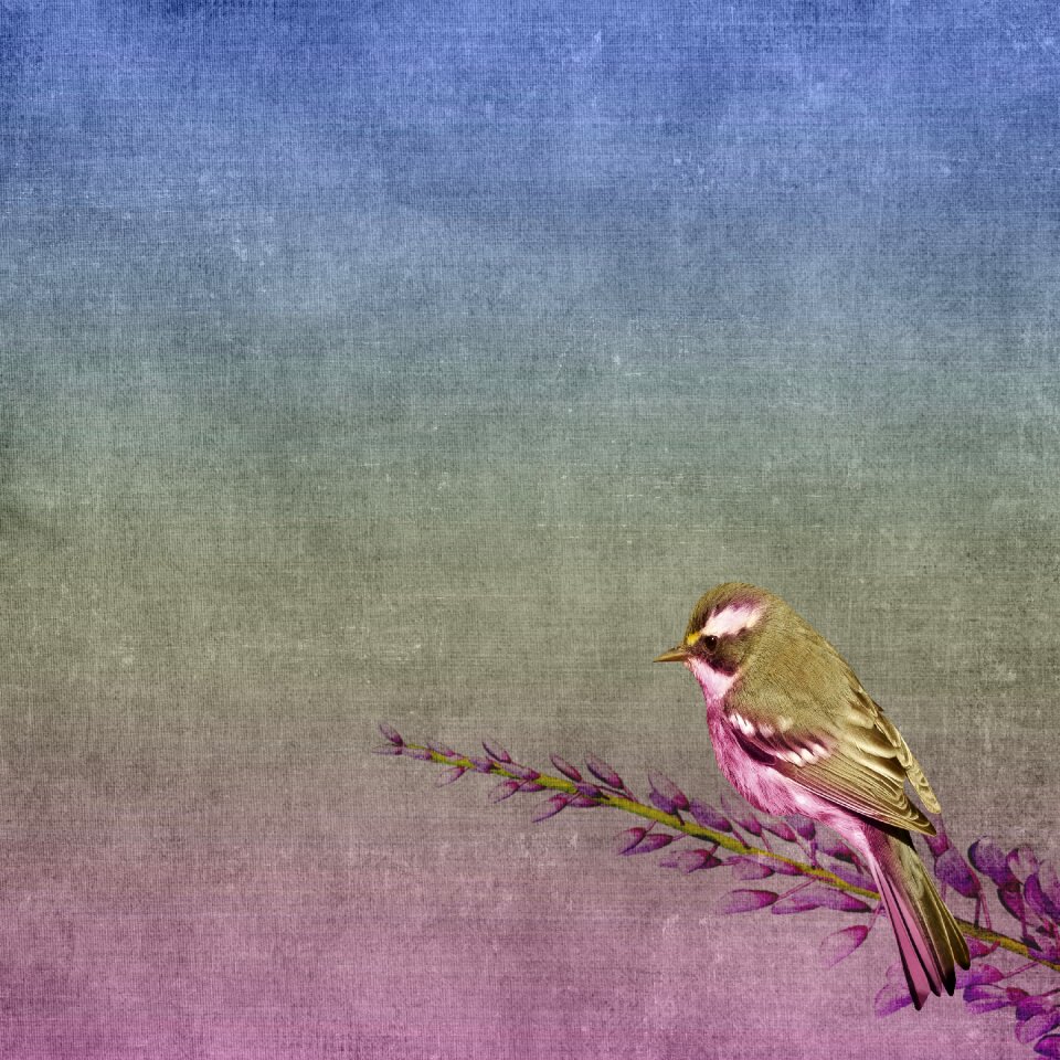 Sitting purple scrapbook