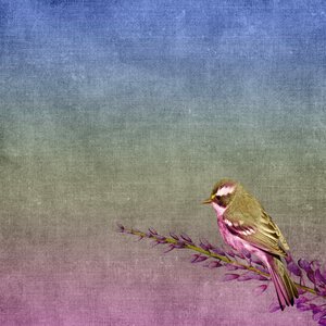 Sitting purple scrapbook
