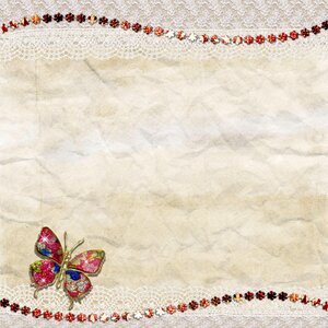 Butterfly jewel square