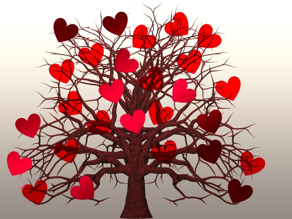 Valentine's day nature romance
