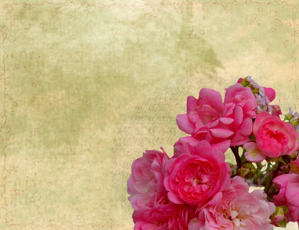 Flowers rose map