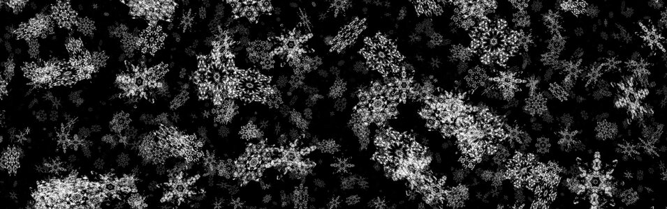 Banner header gray banner