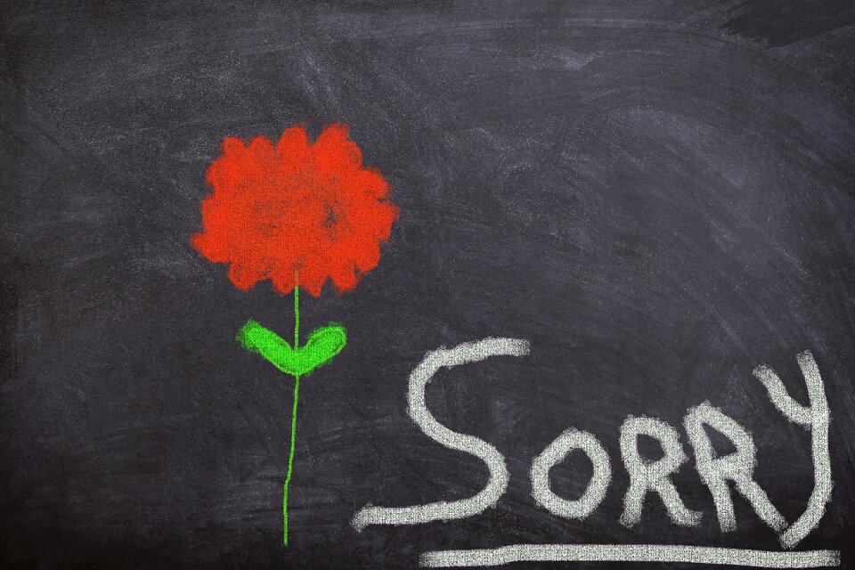 Sorry i beg your pardon forgiveness