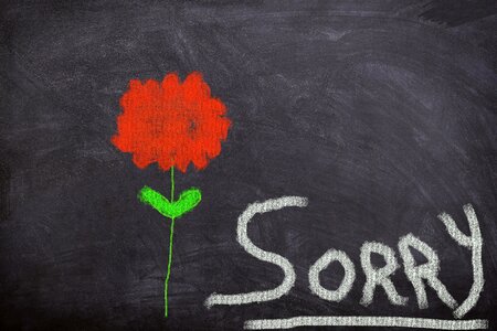 Sorry i beg your pardon forgiveness
