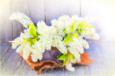 White lilac branches deco