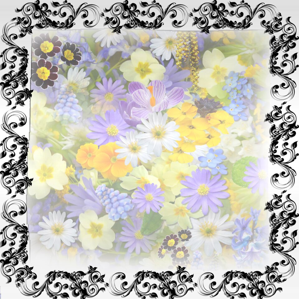 Flowers background Free illustrations