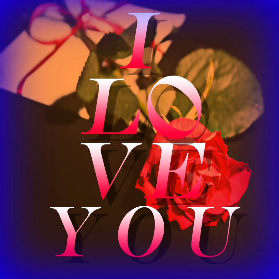 Graphic fragrant flower cut flowers