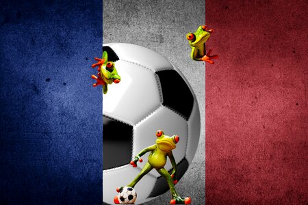 France tournament competition