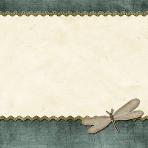 Dragonfly square decoration