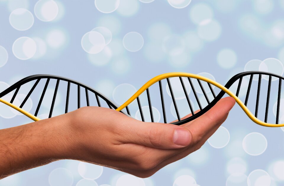 Dns genetics symbol