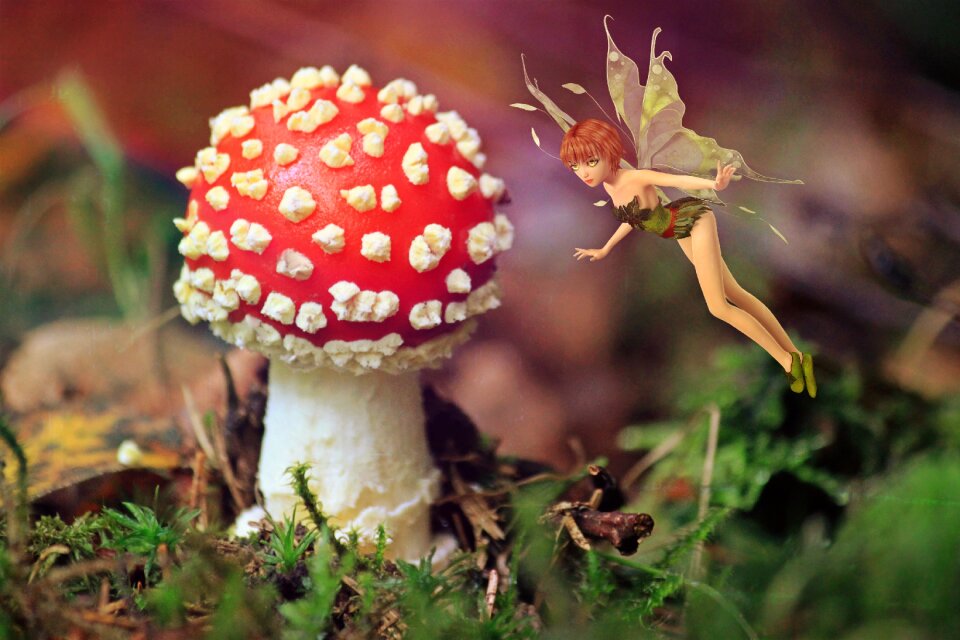 Fly agaric fairy tales fantasy
