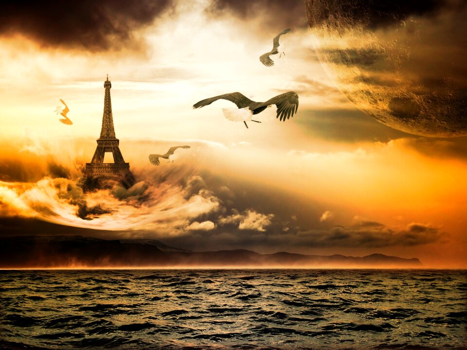 Clouds sunset seagulls