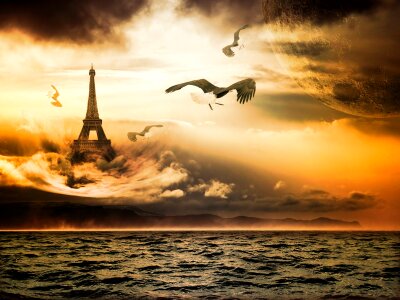 Clouds sunset seagulls