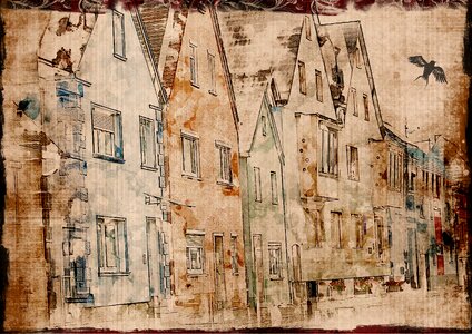 Houses town bird