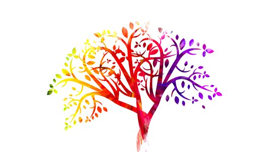 Colored design Free illustrations