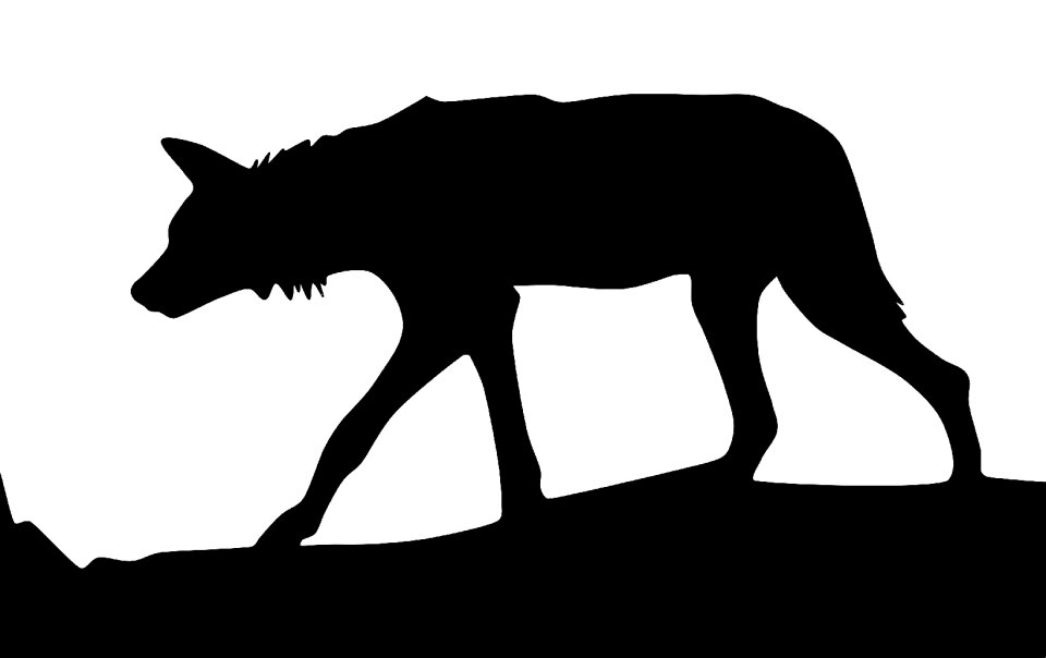 Wolf caution Free illustrations