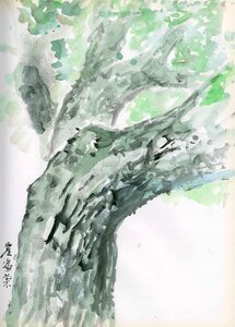 Sketch watercolor Free illustrations