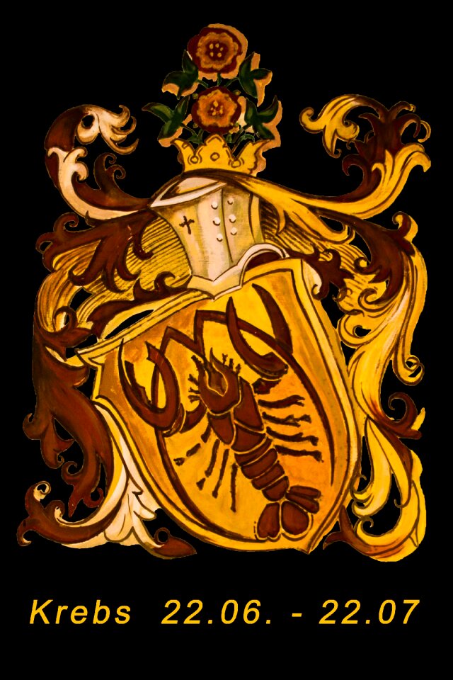 Signs of the zodiac symbol new age